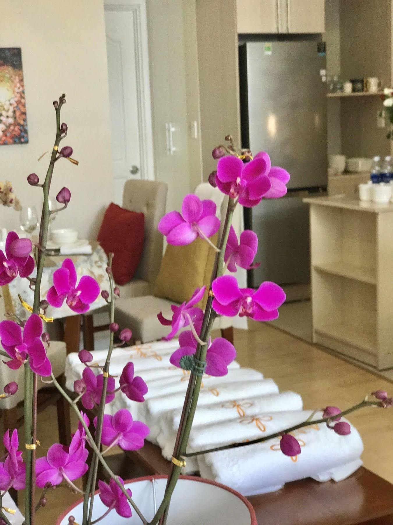 Anada Hotel Suites Dalat Luaran gambar